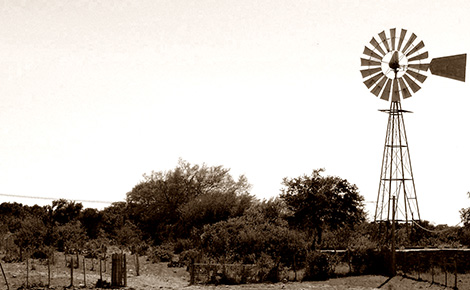 windmill image