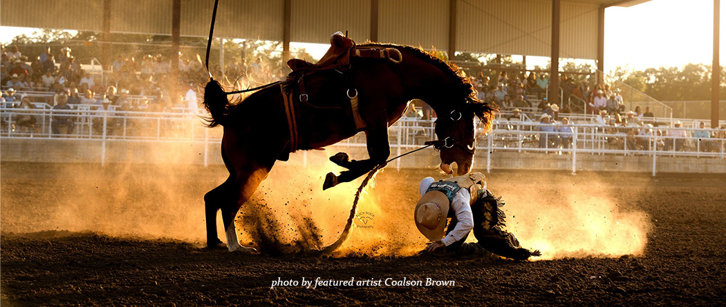 horse and cowboy image