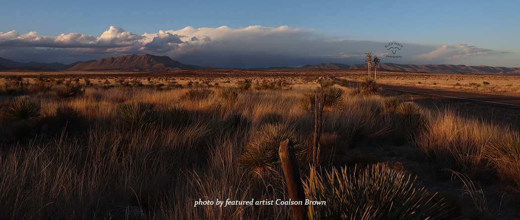 scenic foliage and sky image